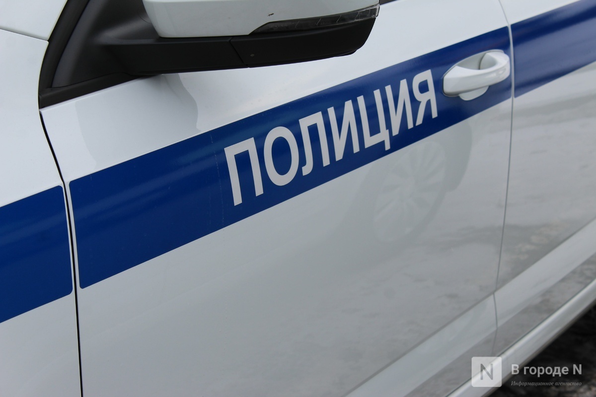 Контрольных постов полиции станет больше в Нижегородской области