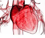 Перипартальная кардиомиопатия: Перипартальная кардиомиопатия