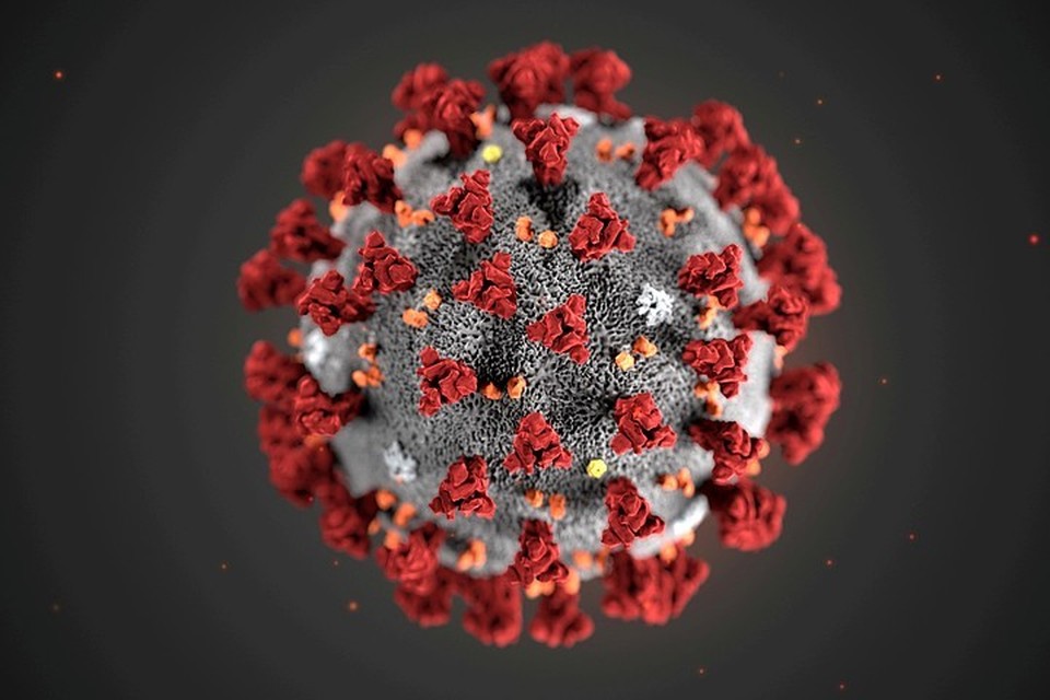Разведка США пришла к выводу, что коронавирус — не биологическое оружие