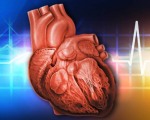 Правожелудочковая сердечная недостаточность: Правожелудочковая сердечная недостаточность